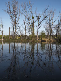 Reflection of trees in lake against sky