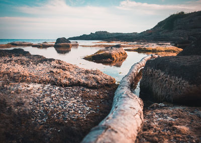 Driftwood and rocks by sea against sky