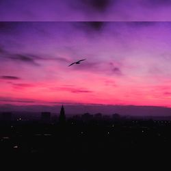 Silhouette bird flying against sky during sunset