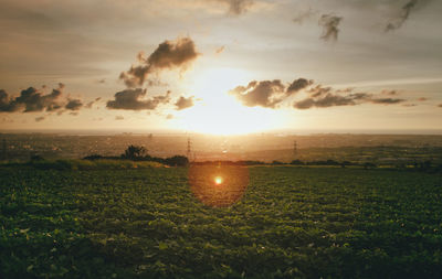 Scenic view of field against sky during sunset
