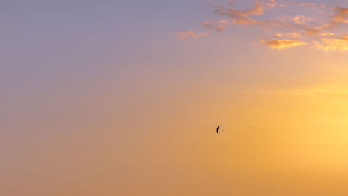 Low angle view of orange sky