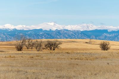 Scenic view of field and mountains against sky