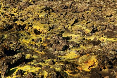 High angle view of sulphur on volcanic landscape