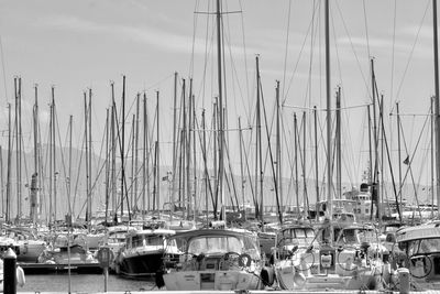 Sailboats moored at harbor against sky