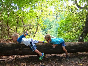 Boys playing on fallen tree trunk in forest