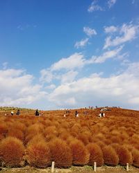 Panoramic view of people grazing on field against sky