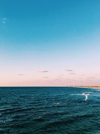 Scenic view of sea against clear sky