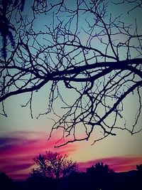 Silhouette of trees against sky at sunset