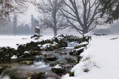 Scenic view of snow covered land and trees