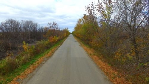 Empty road along trees on landscape