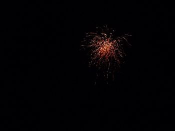 Low angle view of firework display at night