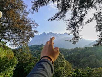 Low section of person hand holding plant against sky