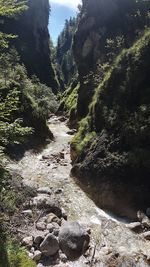 River amidst trees in forest against sky