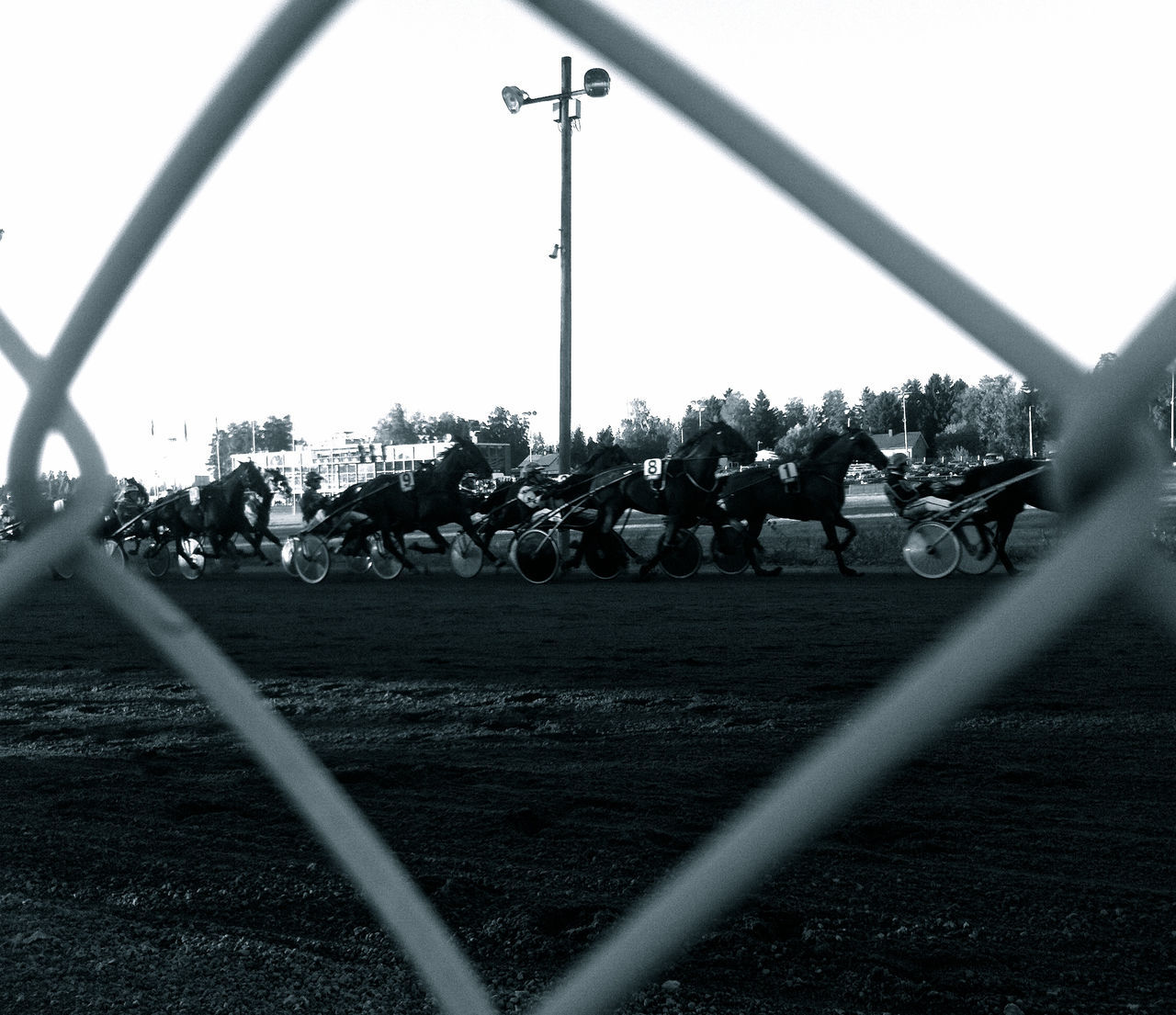 View through the fence