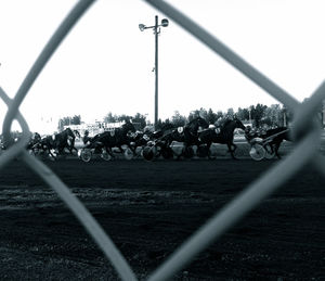 Crowd on field against clear sky