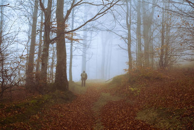 Man standing by trees in forest during foggy weather