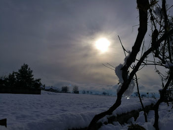 Bare tree on snow covered landscape against sky