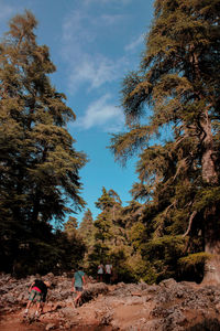 People by trees against sky