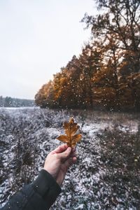 Close-up of person hand holding leaf during winter