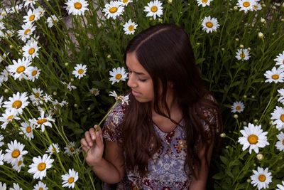 High angle view of woman looking at white daisy flower on field