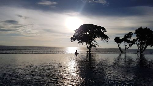 Silhouette tree by sea against sky during sunset