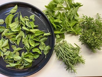 High angle view of herb leaves in bowl on table