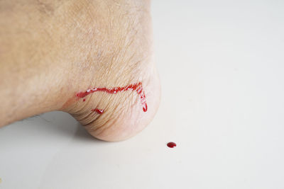 Close-up of human hand against white background