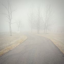 Empty road in foggy weather