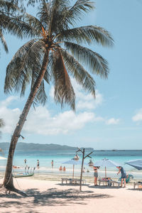 Palm trees on beach against sky