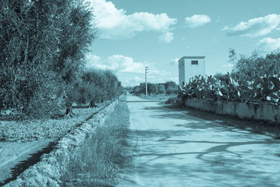 Road amidst trees and buildings against sky during winter