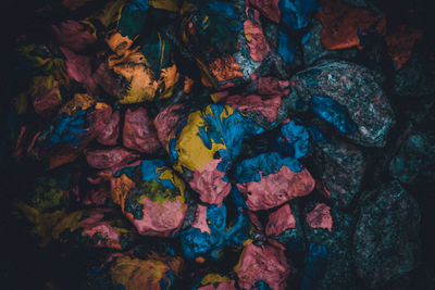 Full frame shot of dry leaves