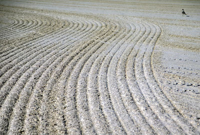 Tire tracks on sand at beach