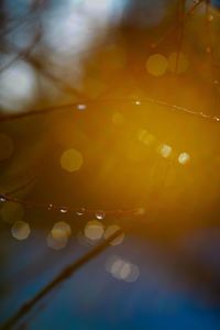 Defocused image of illuminated lights