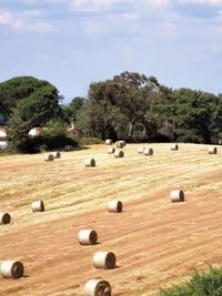 Hay bales on field against sky