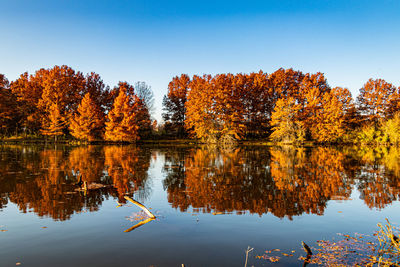 Reflection of trees in lake against sky during autumn