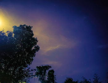 Low angle view of silhouette trees against sky at night