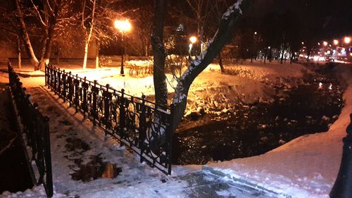 Snow covered trees at night