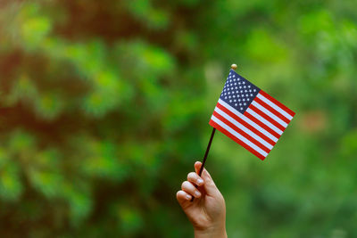 Cropped image of hand holding small flag