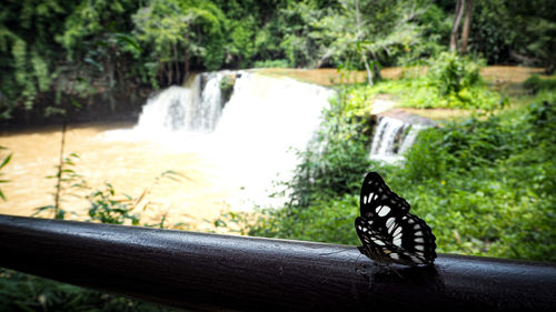 View of a waterfall