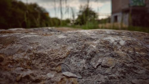 Close-up of stone wall