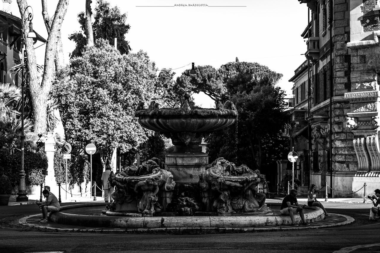 STATUE IN FRONT OF TEMPLE IN TREE