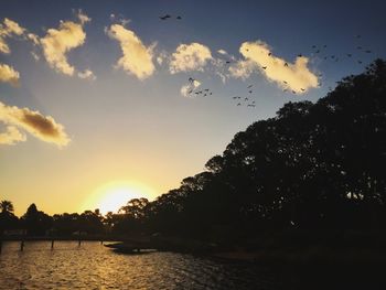 Silhouette birds flying over lake against sky during sunset