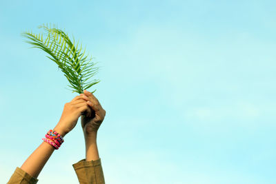 Cropped hands of woman holding leaves against sky