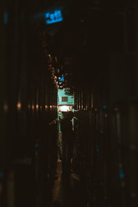 Rear view of man walking in illuminated building