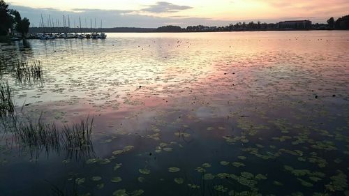 Scenic view of lake at sunset