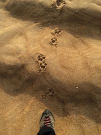 Cropped image of person standing on sand