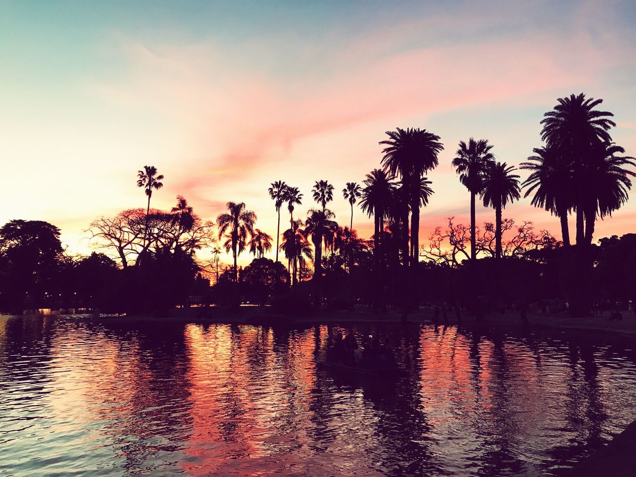 SILHOUETTE PALM TREES BY LAKE AGAINST SKY DURING SUNSET