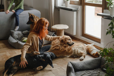 Ginger woman with three dogs cuddling on the floor pets friends at home with human. big dogs german