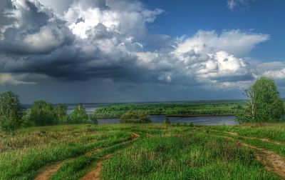 Scenic view of field against sky