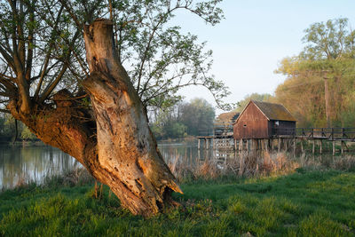 Old house on grassy field